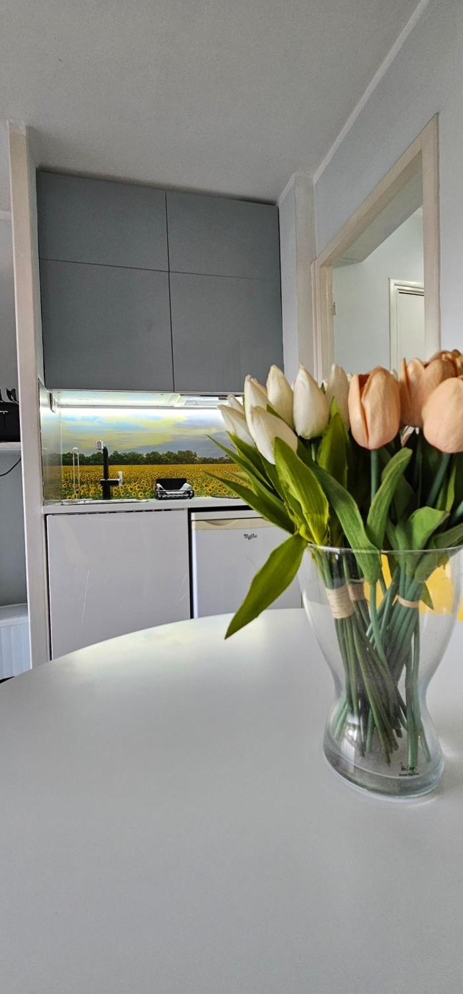 Affitto-nizza Apartment Nizza